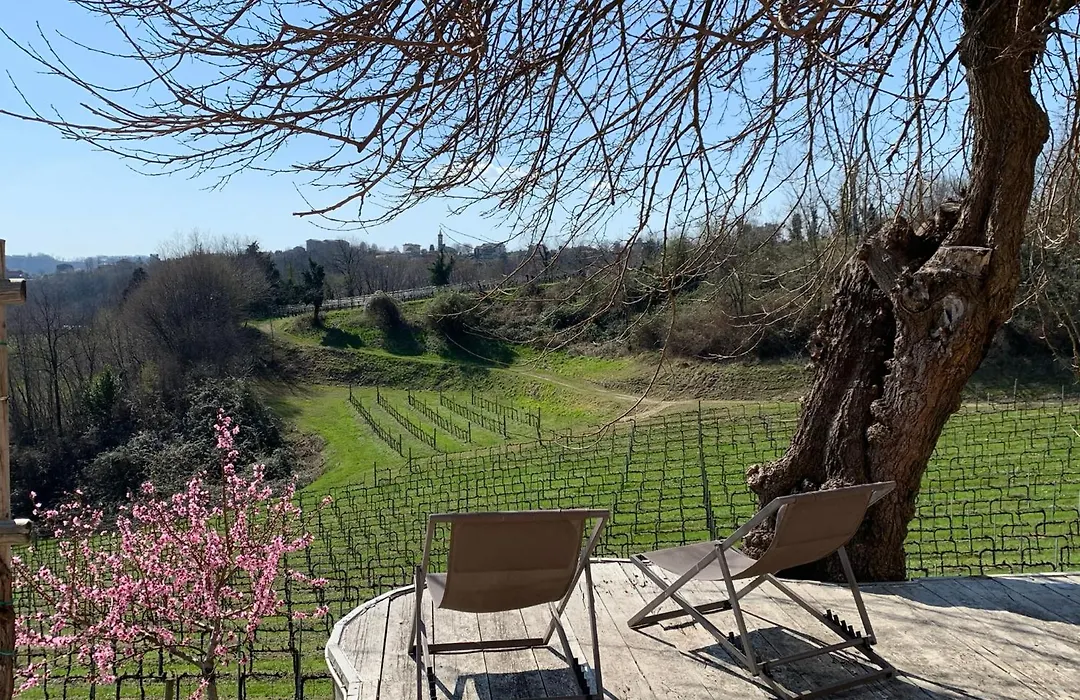Ca'Vittoria - Prosecco Experience - Unesco-1